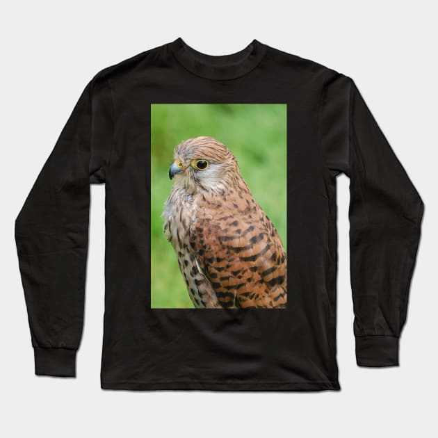 kestrel Long Sleeve T-Shirt by declancarr